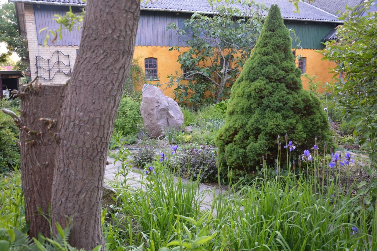 Apartmán Havehojegaard Borre Exteriér fotografie